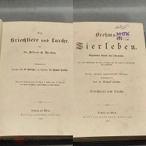 YD Старинная книга Рептилии Животный мир Издание Брема Brehms 1892 г иллюстрации 19 век