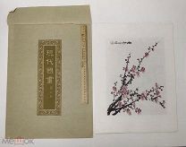 Китайская живопись. Папка с картинами. 1956 год.!