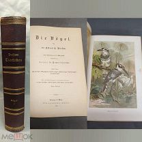 YD Старинная книга в красивом переплете Птицы Издание Брема Brehms 1893 г иллюстрации 19 век