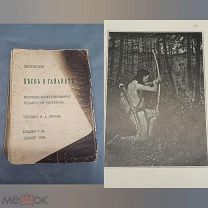 LD Дореволюционная книга «Песнь о Гайавате» Лонгфелло роскошно иллюстрированное издание 1903 г СПБ