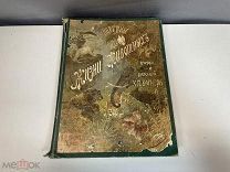 Старинная книга, Картины из жизни животных. Н. П. Вагнер. До 1917 года. F1