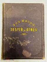 Из жизни зверей и птиц. Проф. М.А. Мензбир. Тип. И.Н. Кушнерев и К 1897.