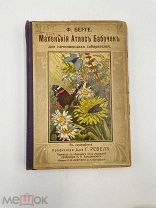 Книга Атлас бабочек. Ф. Берге. СПб. 1913. Я!