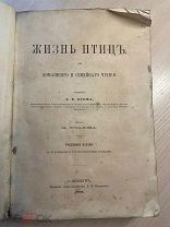 . Жизнь птиц. Для домашнего и семейного чтения. Сочинение А.Е. Брема. 1866 год