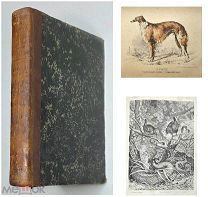 ПРИРОДА и ОХОТА. Ежемесячный иллюстрированный журнал. Т.2. (Апрель-июнь ). 1878