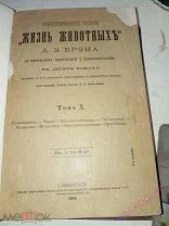 Брэм. Иллюстрированное издание «Жизнь животных», 1893-1896 гг. ТОМ 10.