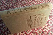 Книга - ПОДАРОК МОЛОДОЙ ХОЗЯЙКЕ 1901г. Репринт. 496 стр. Дарственная. ОТЛИЧНАЯ. (Т1141)