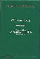Хризантемы, размножение их и выгонка. Комнатная культура луковичных растений