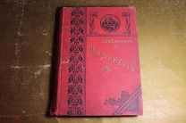 КНИГА СЛАВНЫЙ РЫЦАРЬ ДОН КИХОТ ЛАМАНЧСКИЙ СЕРВАНТЕС. 1910 год. ТОМ - 1. *