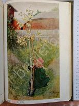Живопись. Carl Larsson. 1909 г. Модерн. Немецкий язык.