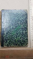 Редкость Михайловский Н.К. 1894 год. Критические опыты. Иван Грозный в русской литературе.