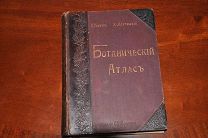 Гофман К. Ботанический атлас по системе Де-Кандоля. 1899 г.