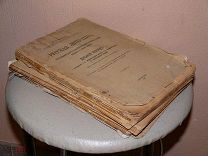 Русская литература. Е.В. Петухов.