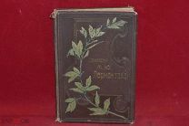 Книга «Полное собрание сочинений Лермонтова» Сытин 1910 г. (лот № 2783) {-5}