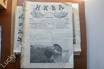 ЖУРНАЛ НИВА 1906 ГОД ВЫПУСКИ С 6 ПО 24 И С 30 ПО 50