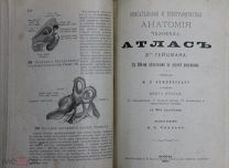 Гейцман Атлас Описательная и топографическая анатомия человека Книги 1 и 2 1900г. Медицина.