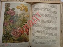 Книга Кернеръ Жизнь растений До 1917 г. 2 том