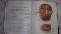 Интереснейшее издание. Атлас ОПИСАТЕЛЬНОЙ АНАТОМИИ ЧЕЛОВЕКА в 3-х томах. С множеством цвет. карт.
