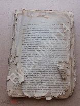 1884 Шардин А. Род князей Зацепиных. Исторический роман Том 1. Издание книгопродавца Сократа Исакова