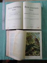 Жизнь Животных. Брэм. 1903 г. 3-й том. СТРАНИЦЫ ВСЕ! Аукцион!