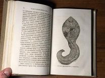 1874 Чудеса невидимого мира. С 60 политипажами Очень хороший сохран