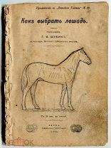 Лошадь. «Как выбрать лошадь». Вятка. 1906 г. 51 страница. 18 рисунков.